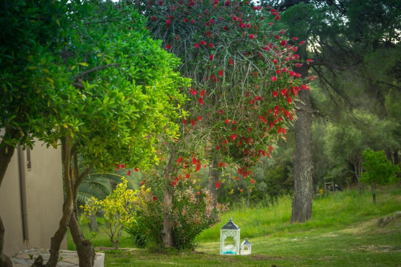 Forest Resort Suites Skiathos Troulos Dış mekan fotoğraf